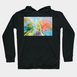 Vibrant nature abstract zoom blur Hoodie